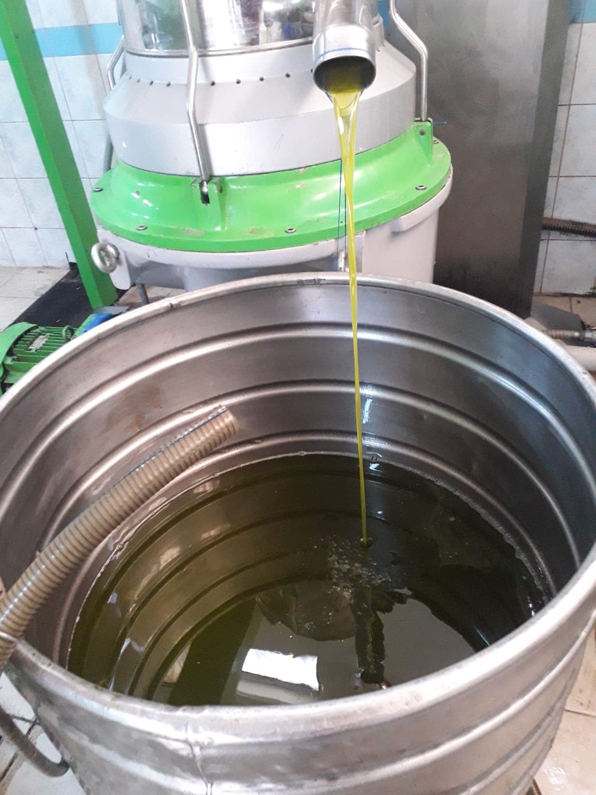 Fresh olive oil flowing from the press
